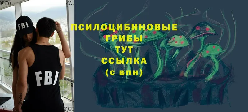 наркошоп  Вельск  Галлюциногенные грибы Psilocybe 